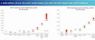 Báo Cáo Tình Hình Xuất Nhập Khẩu 2022