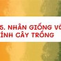 Công Nghệ Lớp 7 Kết Nối Tri Thức Bài 7