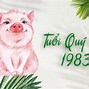 Tuổi Hợi 1982 Hợp Màu Gì